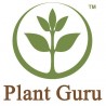 Pure Essential Oils - Plant Guru